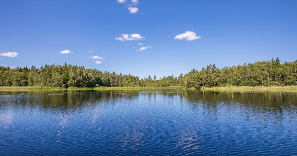 Tasik di Mumbai yang Menawarkan Pelarian yang Tenang