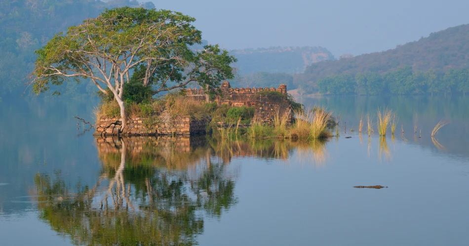 Tasik di Mumbai yang Menawarkan Pelarian yang Tenang