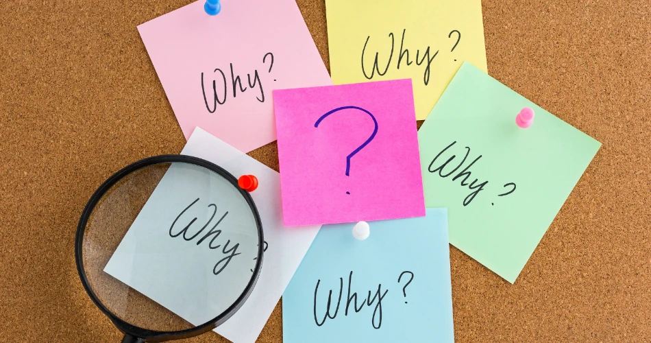 Mikrobrewery di Mumbai Menghasilkan Rasa Unik